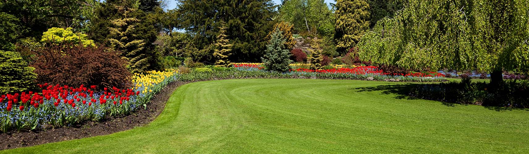 Plantation Lawn Care Services, Landscaping Company and Lawn Service